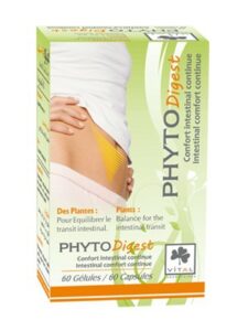 PHYTODIGEST B/60 GELULES