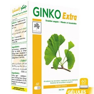 GINKO EXTRA CP/60