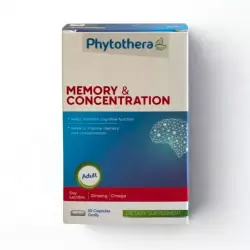 MEMOIRE CONCENTRATION